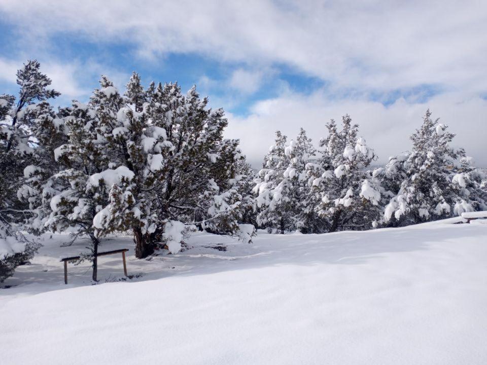 Pinyon Ridge Ranch Near Zion Np Hot Tub Pets Ok Orderville Bagian luar foto