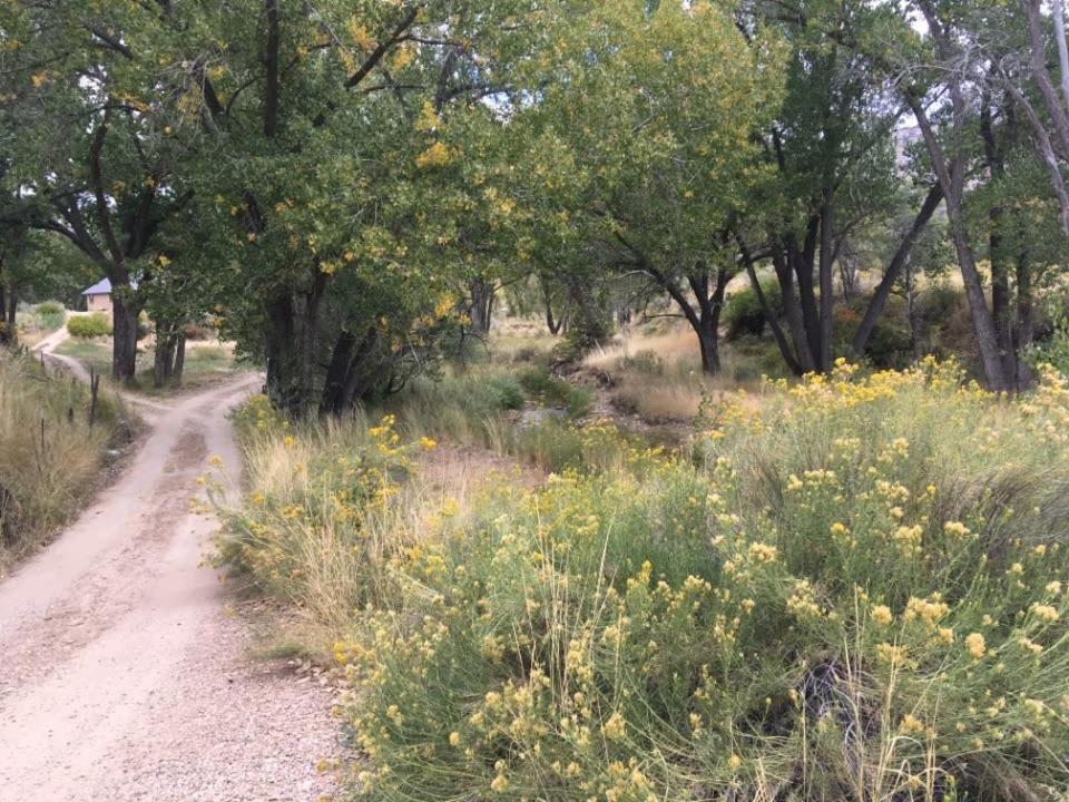 Pinyon Ridge Ranch Near Zion Np Hot Tub Pets Ok Orderville Bagian luar foto